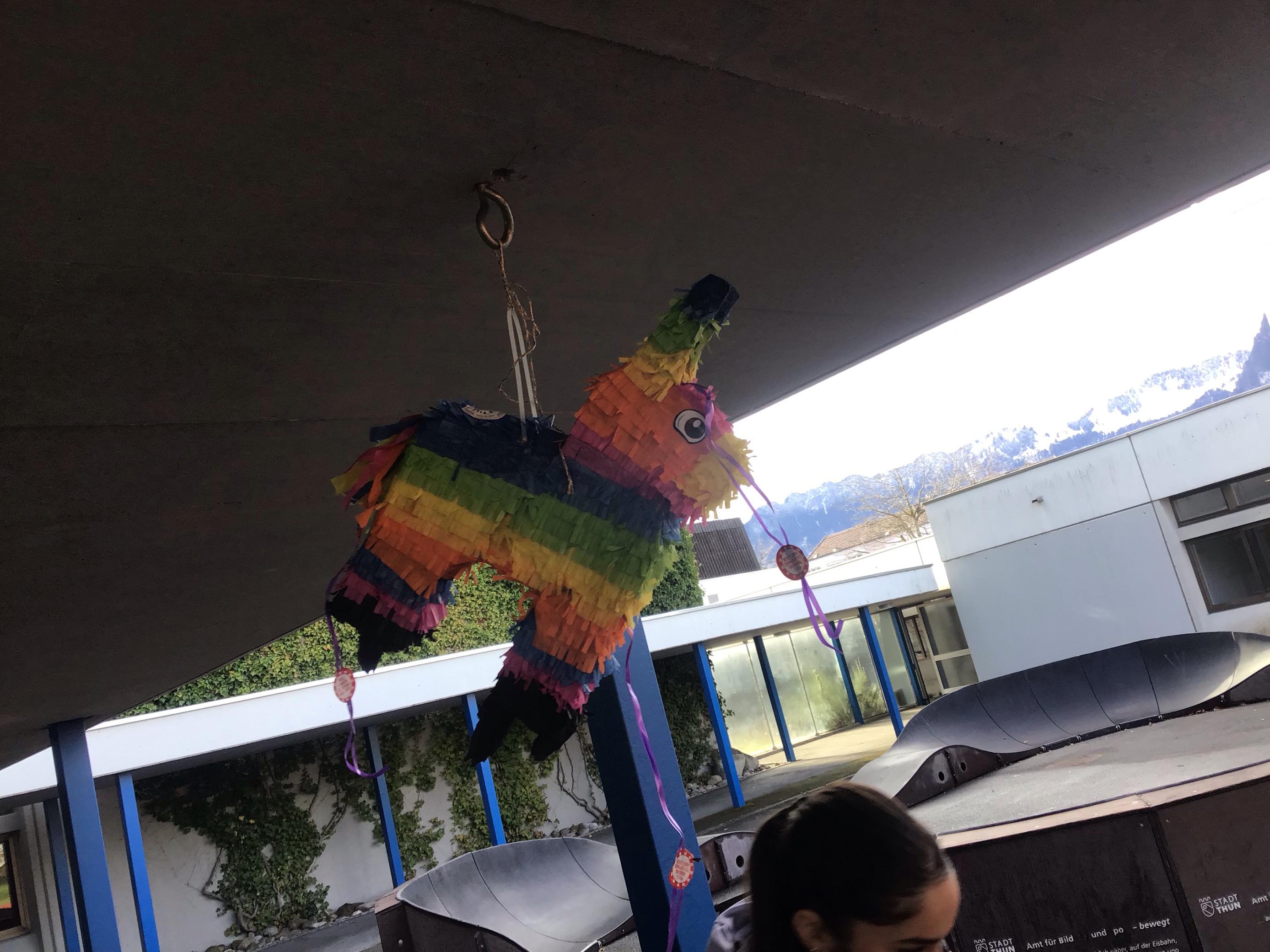 Bild 9